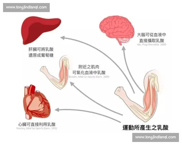 科学规划体育训练全过程提升运动员综合能力的方法研究 科学规划体育训练全过程提升运动员综合能力的方法研究